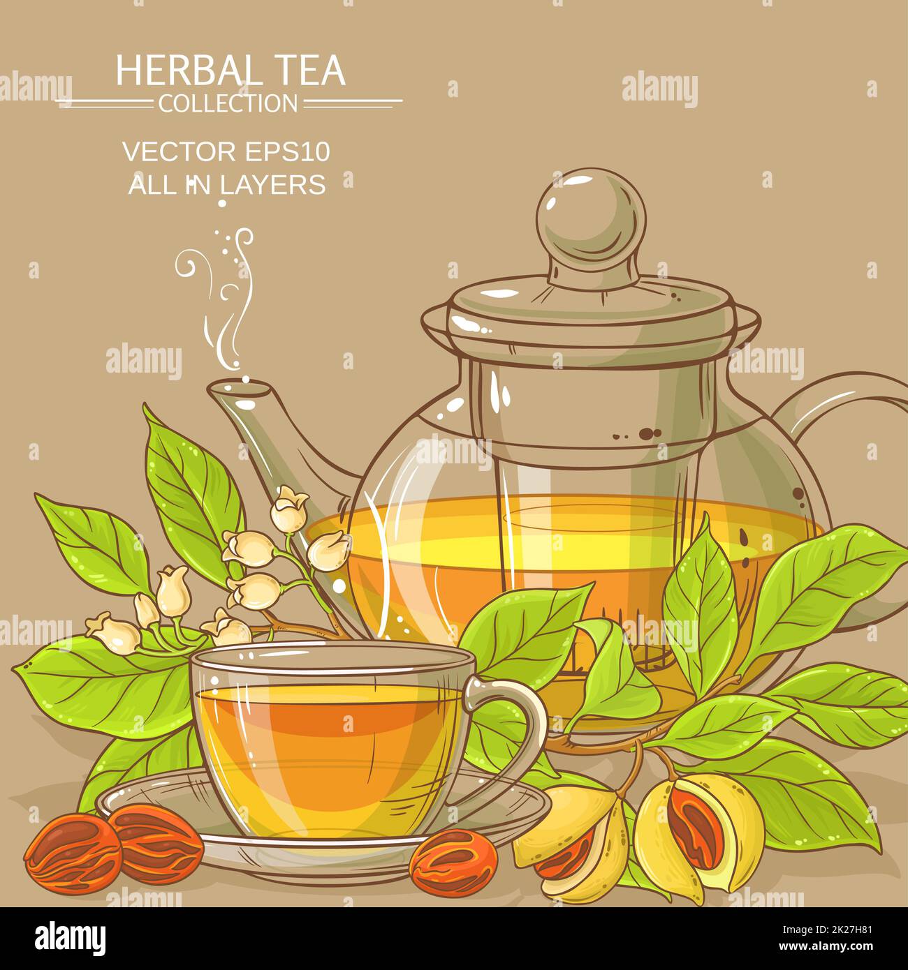 nutmeg tea illustration Stock Photo Alamy