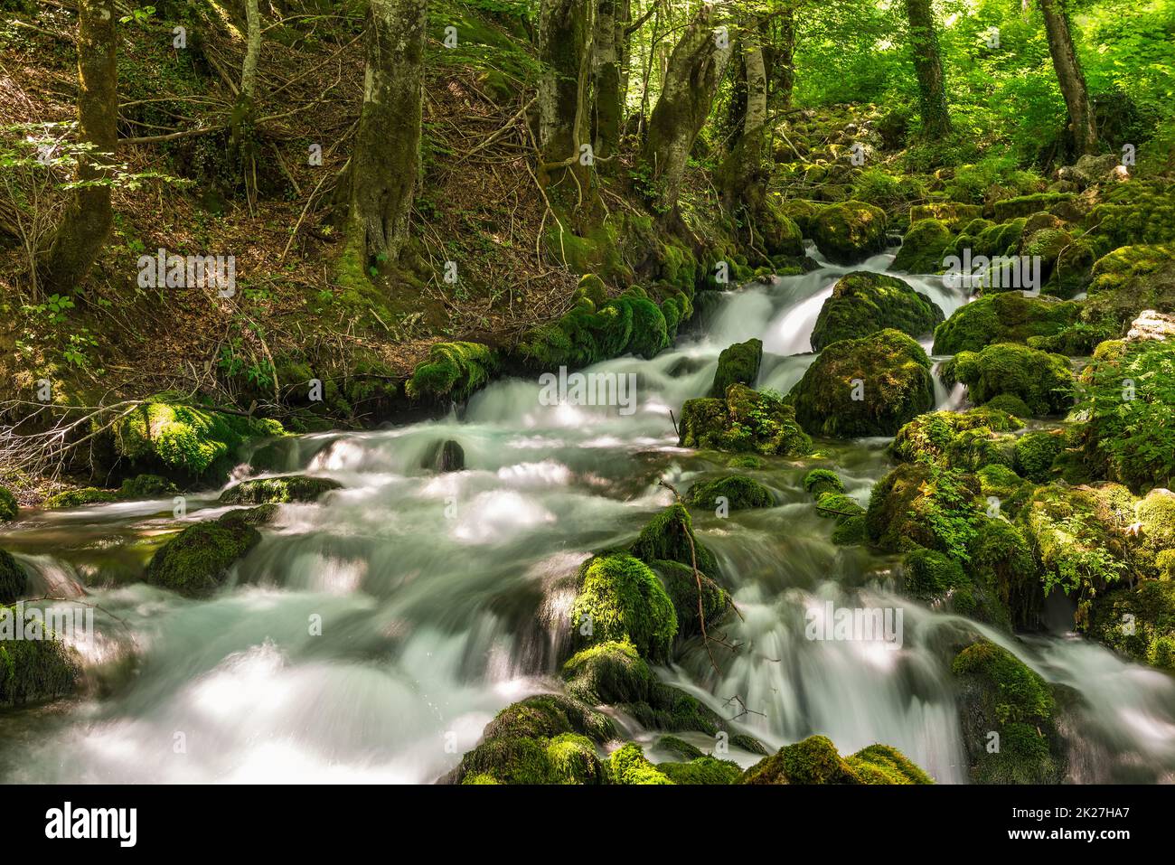 Flowing forest river Stock Photo