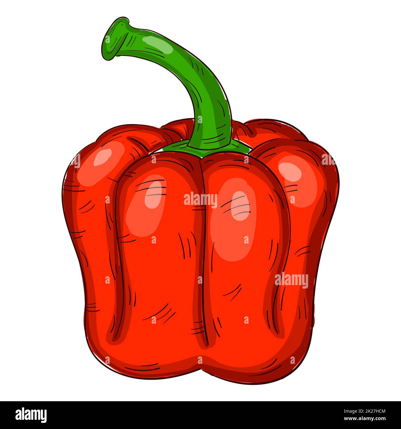 Realistic fresh red bell pepper on white background - Vector Stock Photo