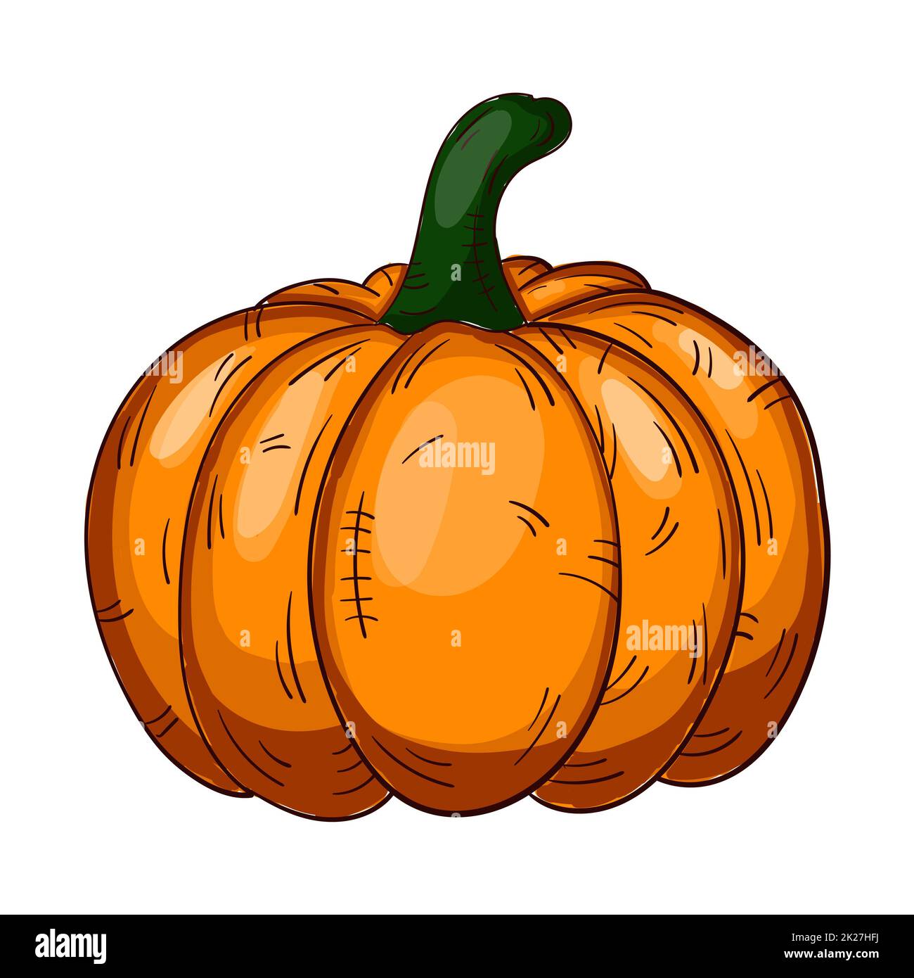 Realistic fresh ripe pumpkin isolated on white background - Vector ...