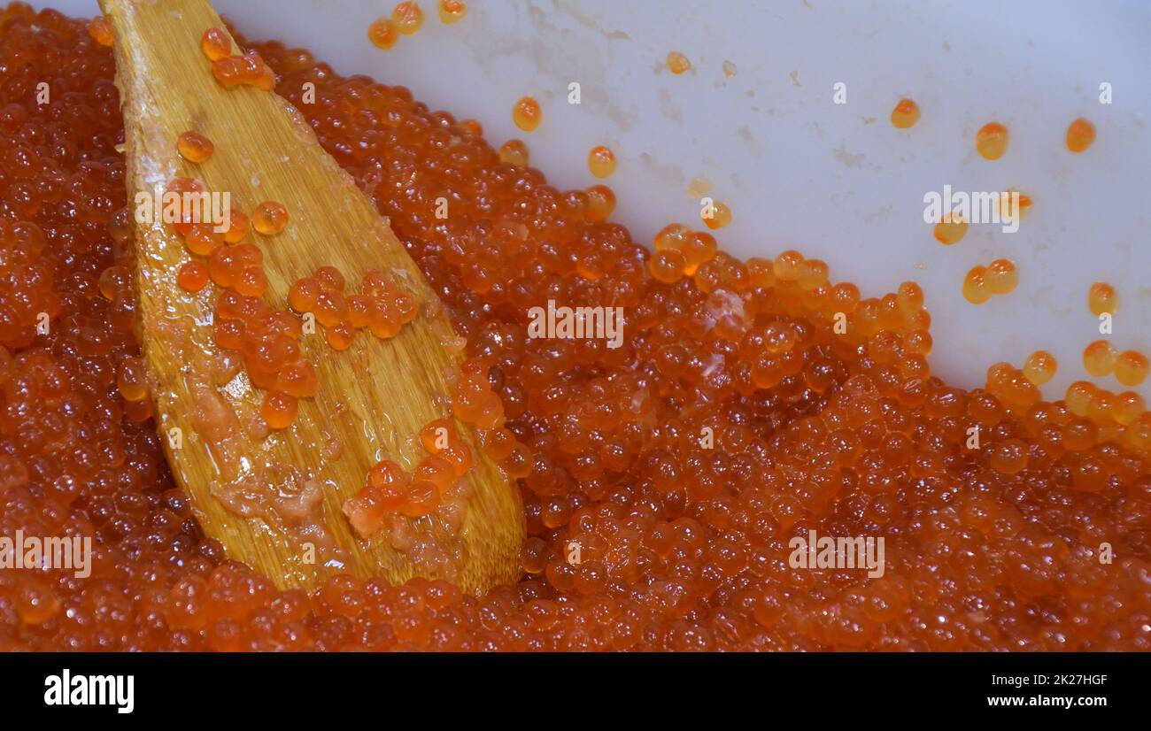 Red caviar of wild chinook salmon (Latin. Oncorhynchus tschawytscha) Stock Photo