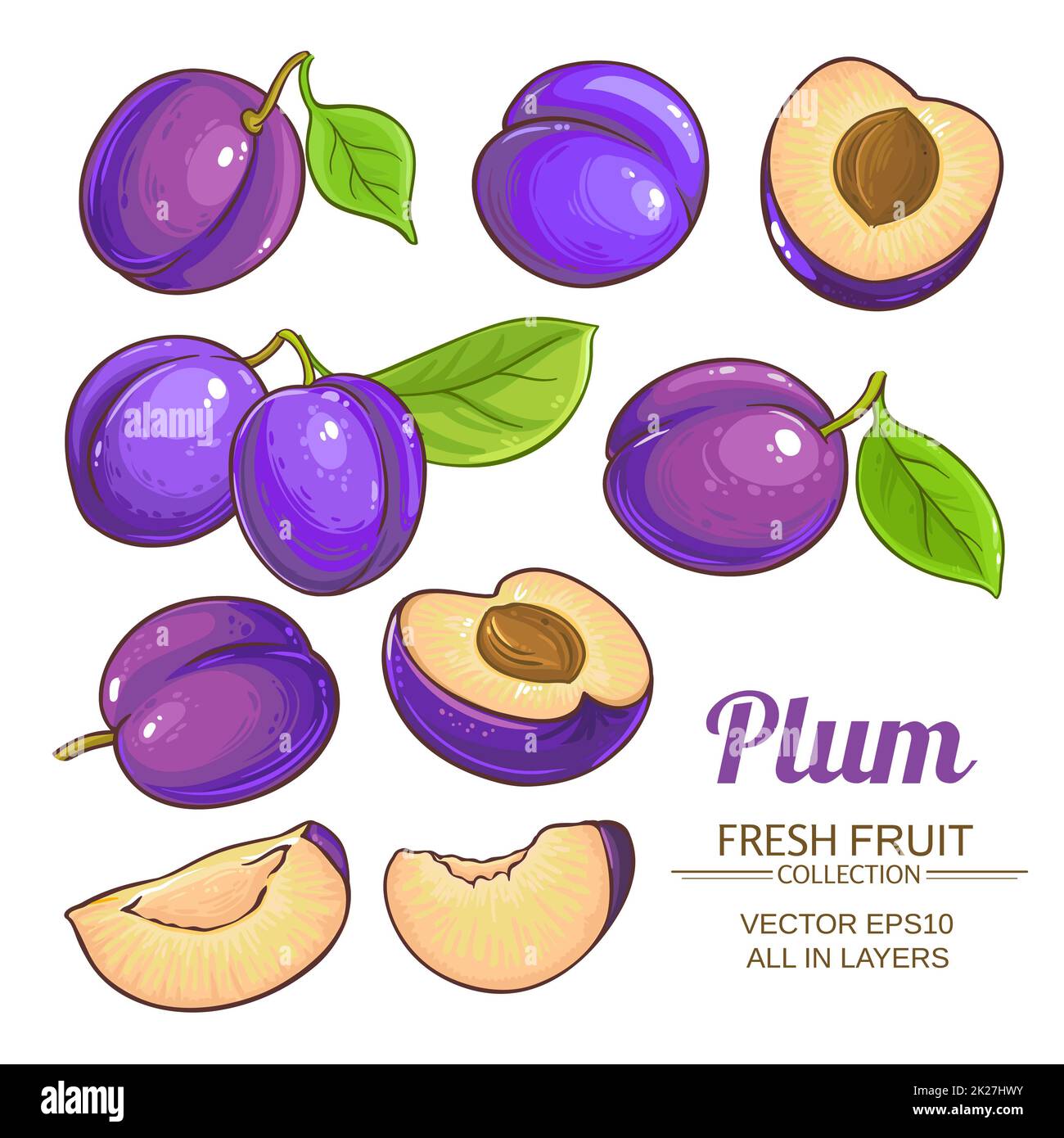 plum fruits vector set Stock Photo Alamy