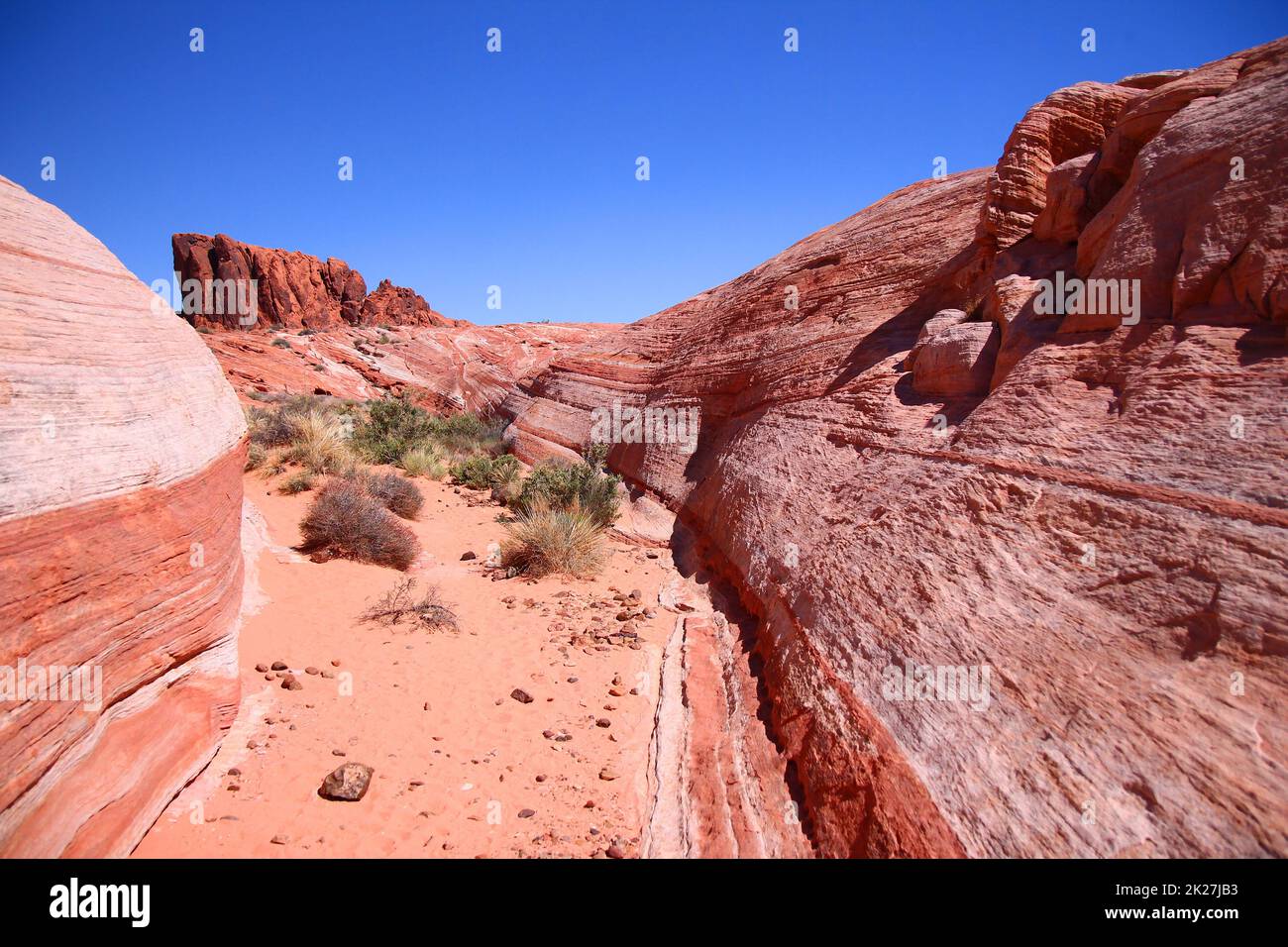The fire canyon with the red rocks wall on the back in the Valley of Fire Stock Photo