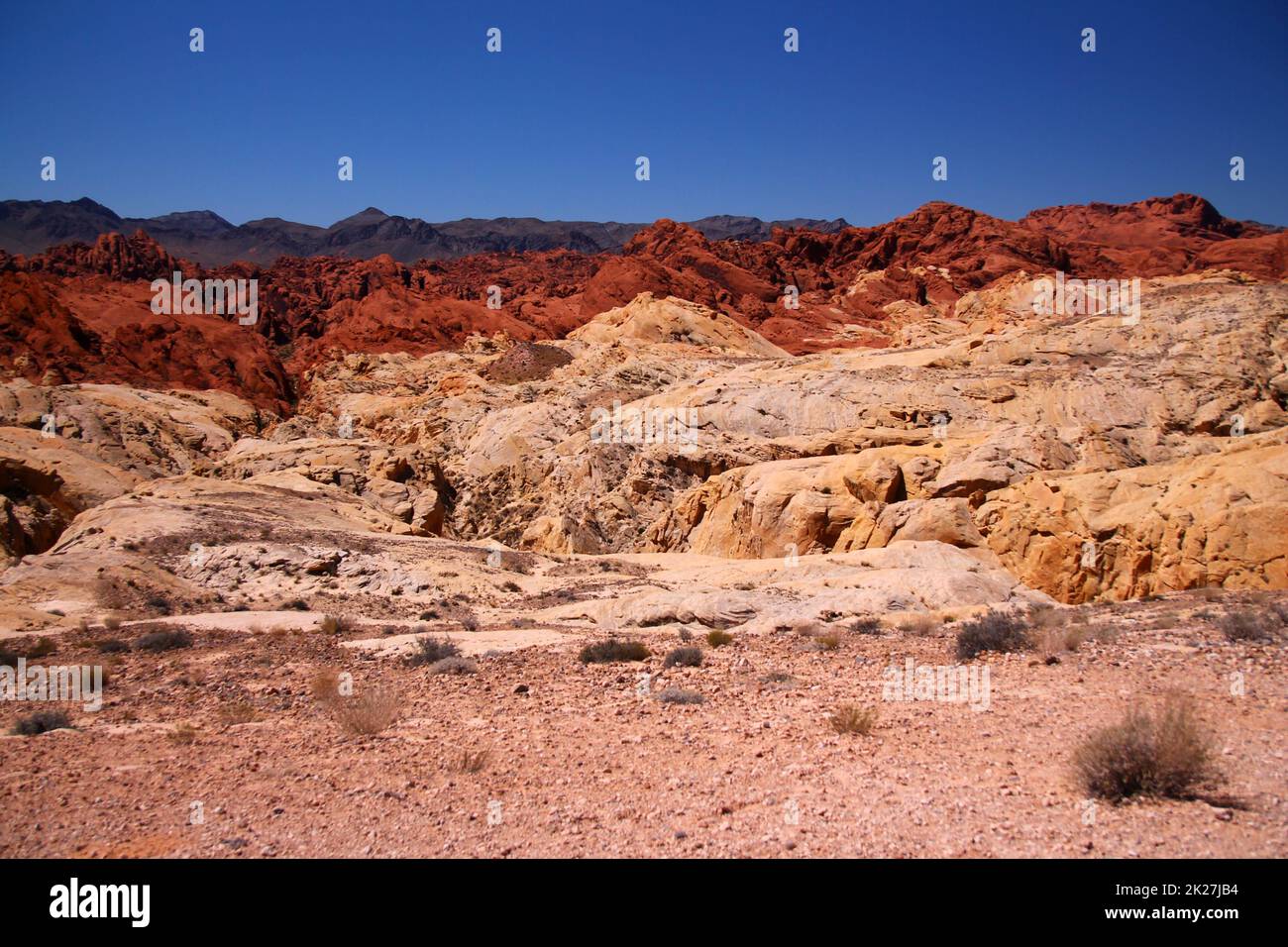 The arid desert, the pink rocks, the red boulders and the brown ...