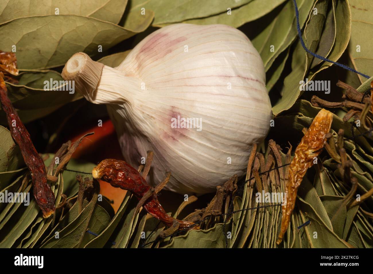 Garlic and bay leaves. dried hot peppers Stock Photo Alamy
