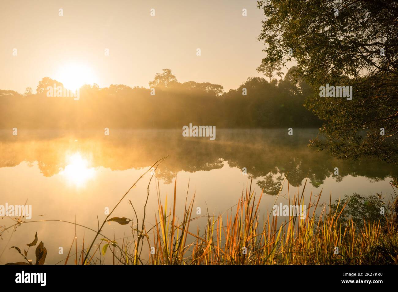 Morning fog lifts off a lake state sunrise on a cool September morning Stock Photo