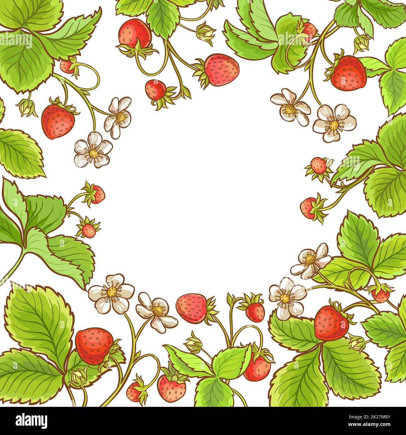 Strawberry Plant Vector Frame Stock Photo - Alamy