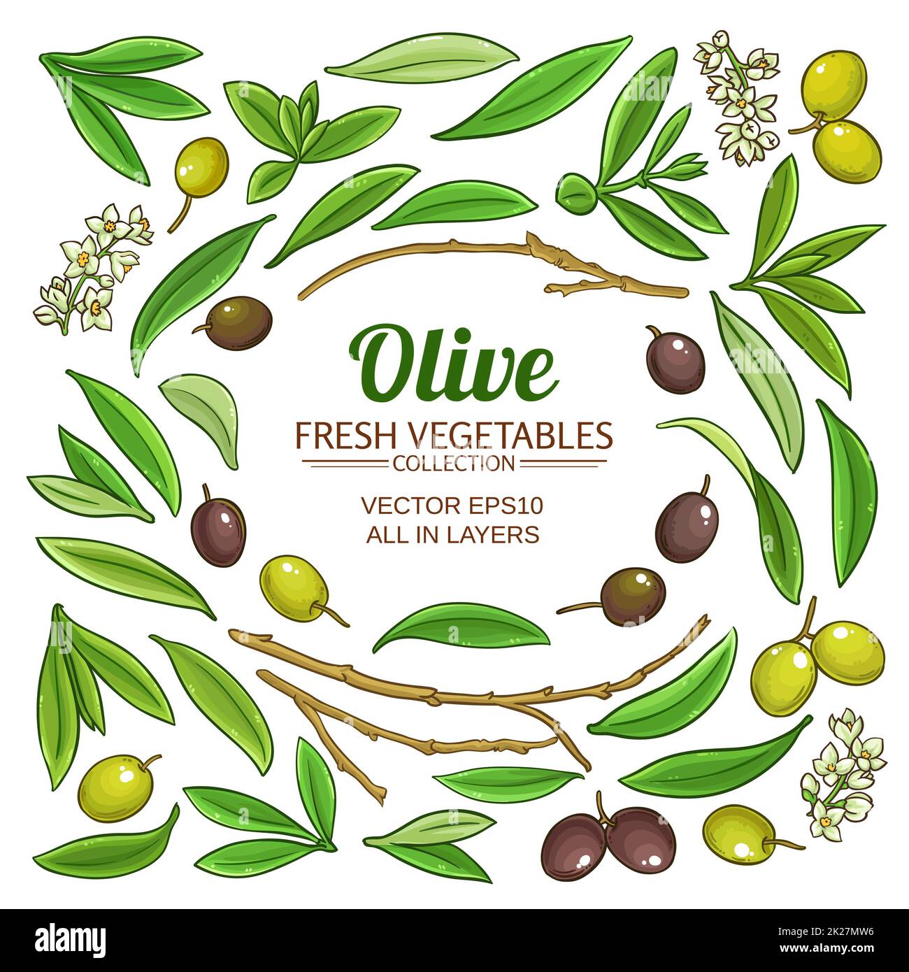 olive elements vector set Stock Photo