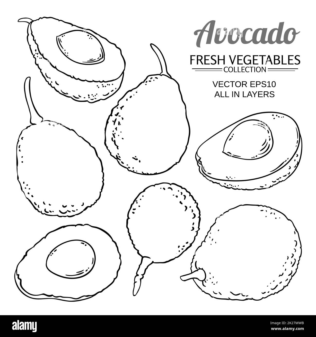 Avocado vector set stock photo alamy