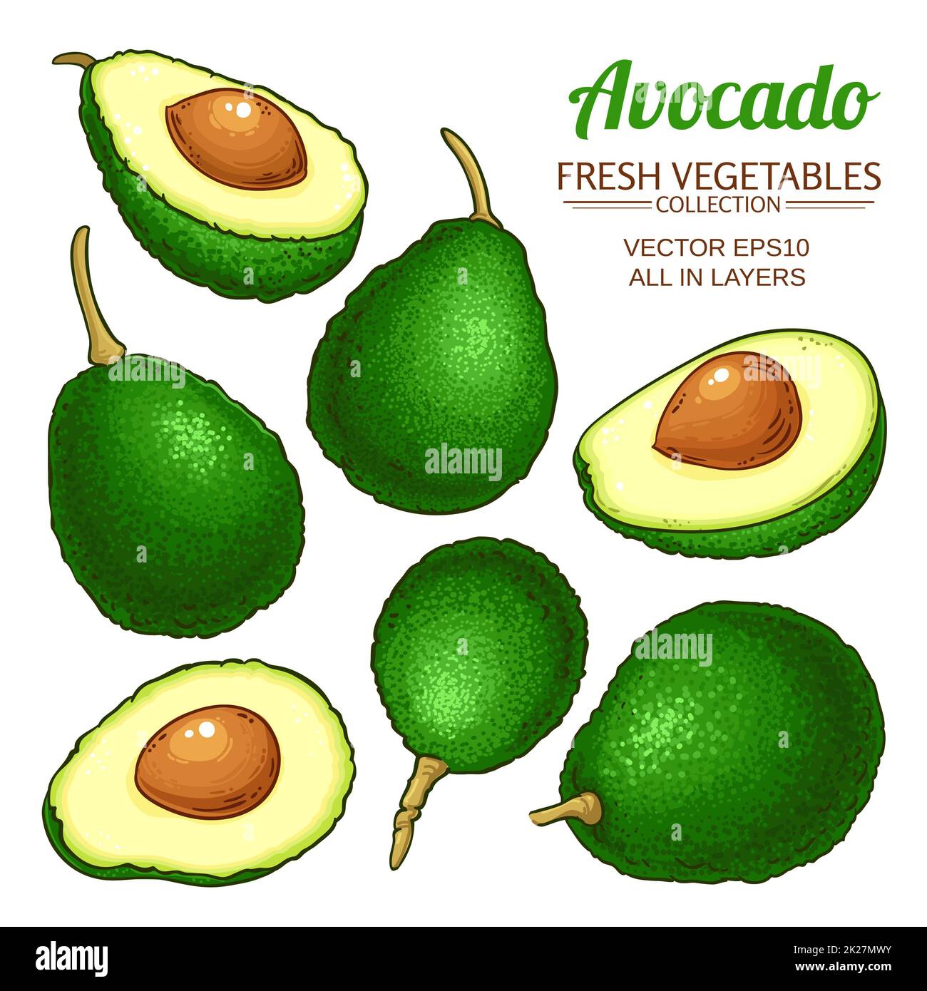 avocado vector set Stock Photo - Alamy