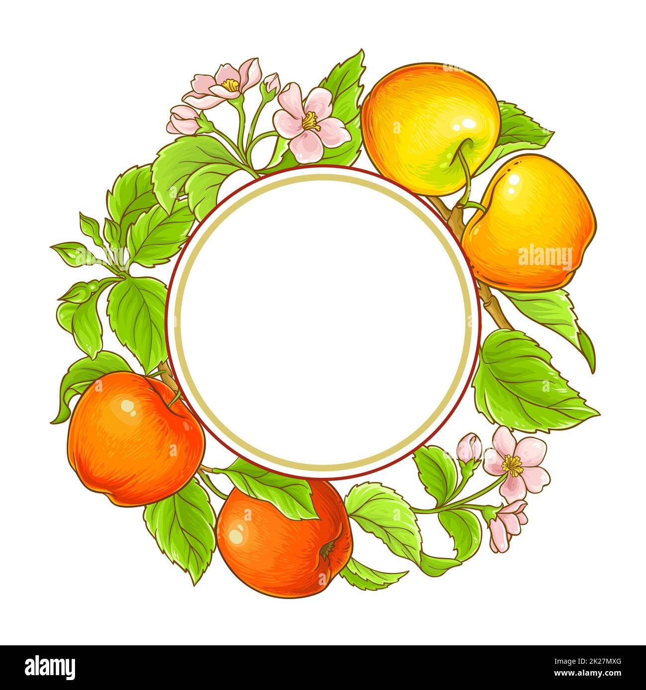 apple vector frame Stock Photo Alamy