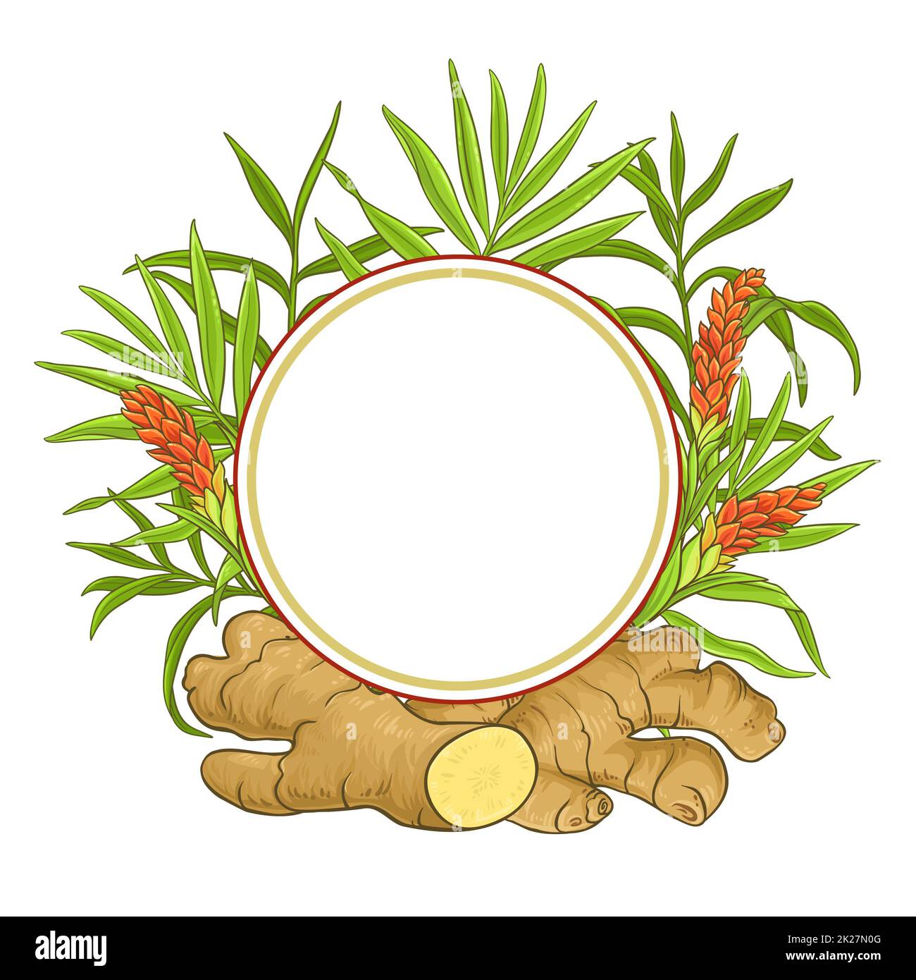 ginger vector frame Stock Photo