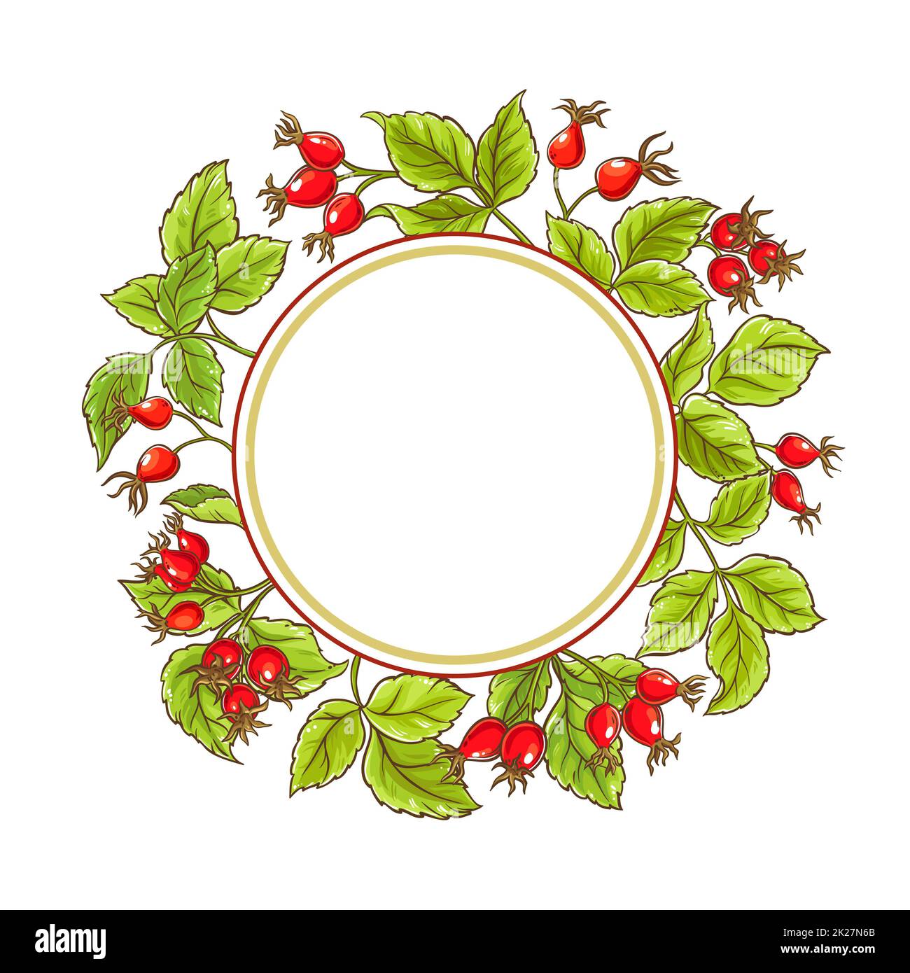 wild rose vector frame Stock Photo Alamy