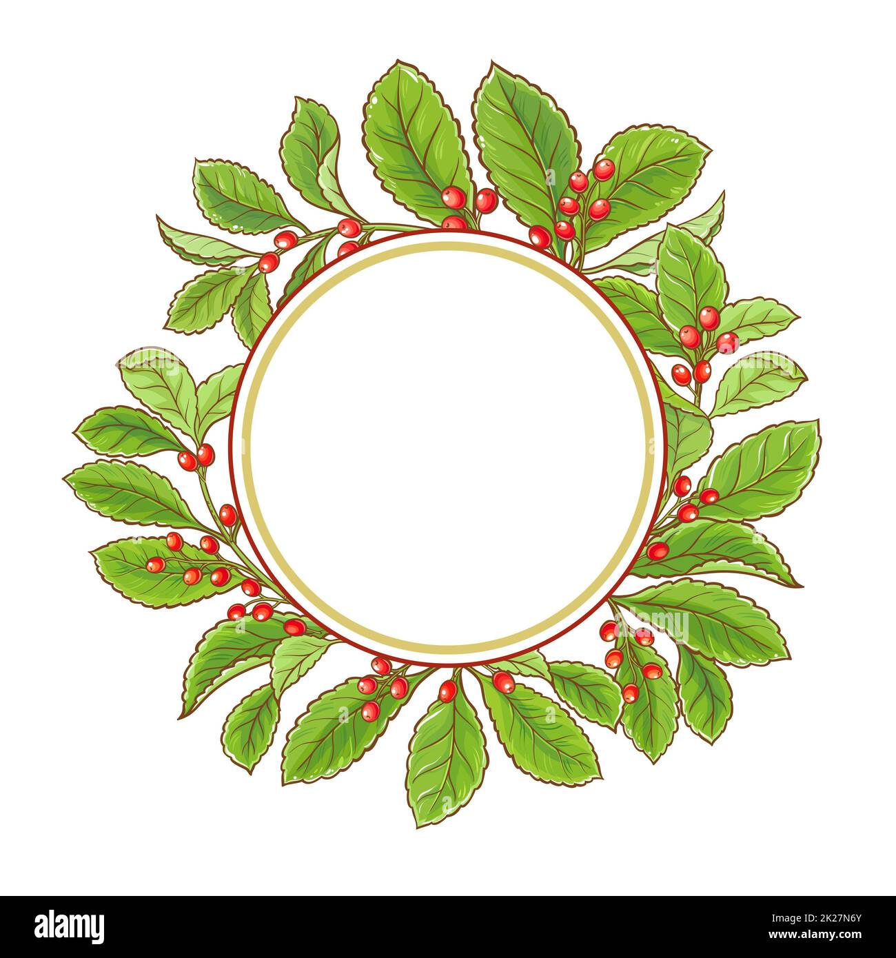 yerba mate vector frame Stock Photo - Alamy