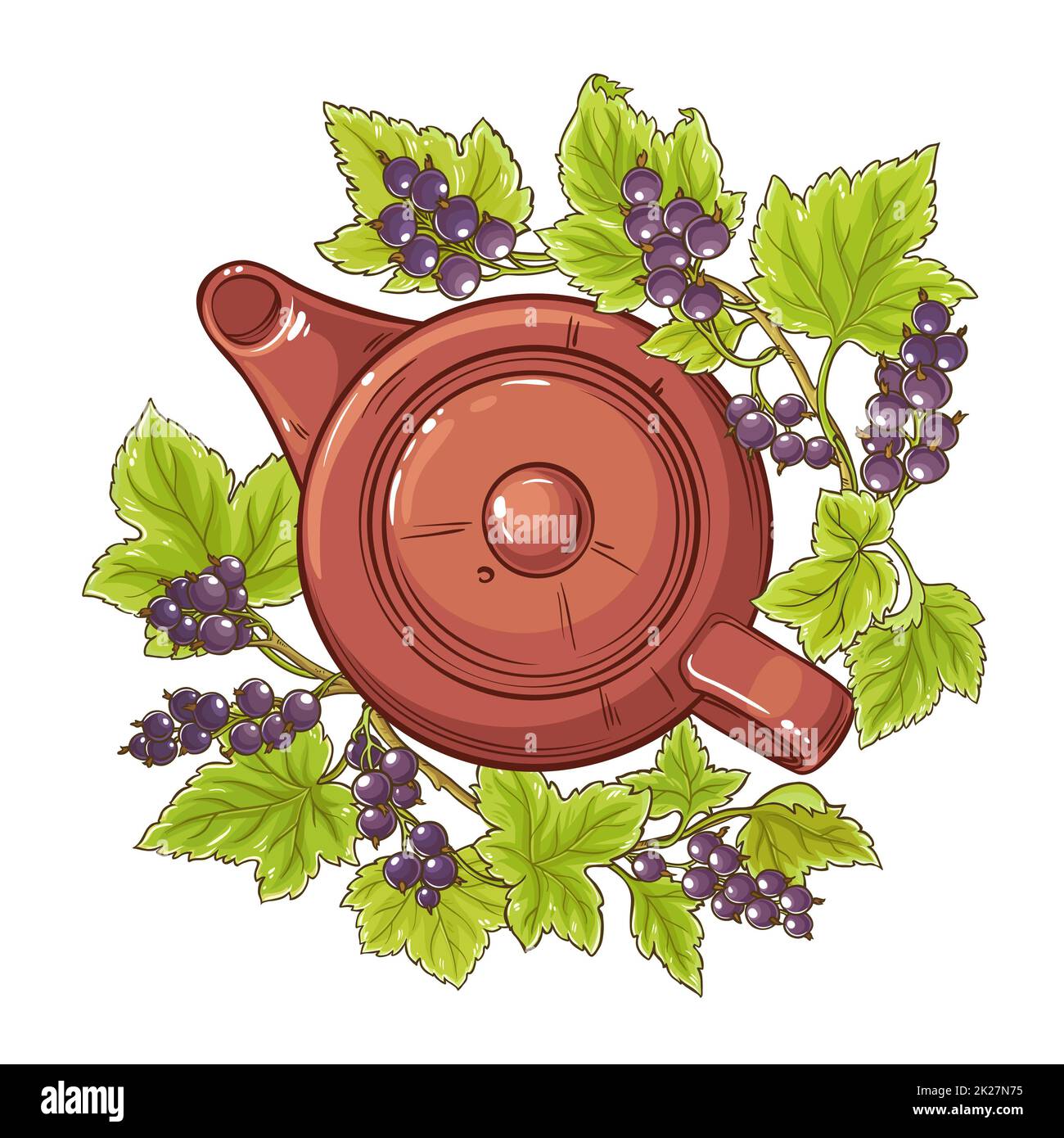 black currant tea illustration Stock Photo
