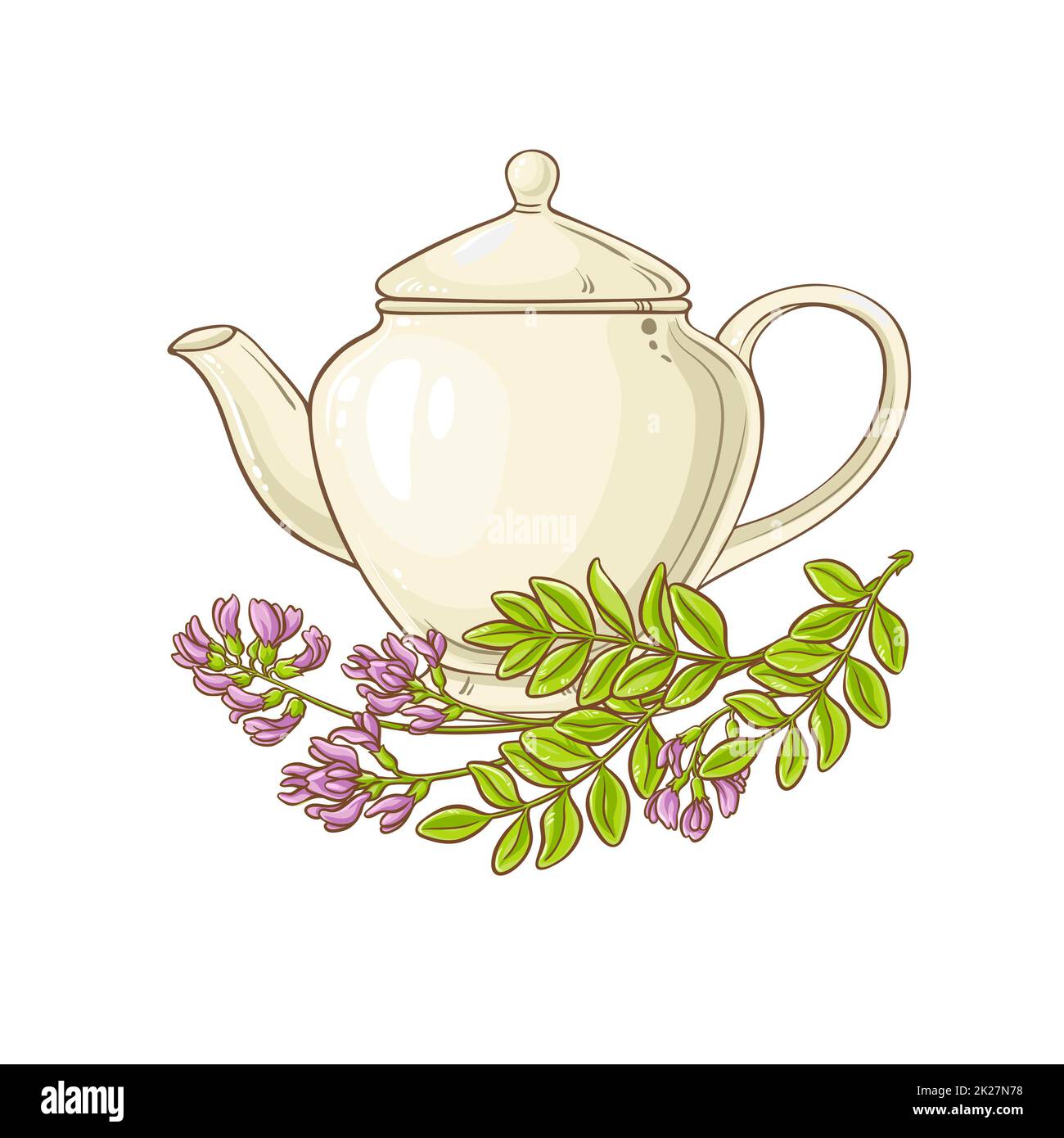 astragalus tea in teapot Stock Photo