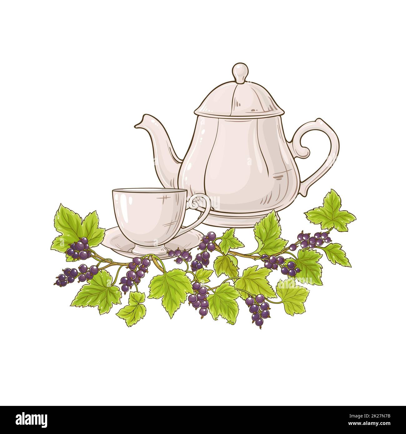 black currant tea illustration Stock Photo