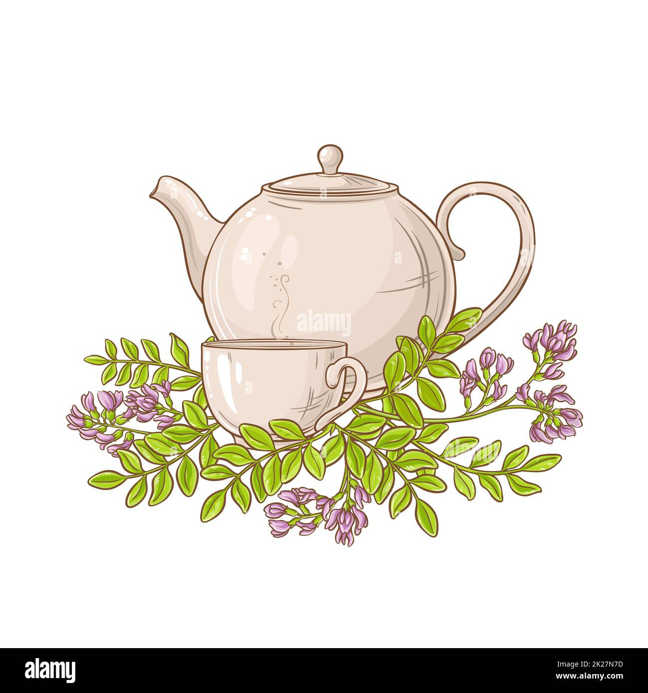 astragalus tea in teapot Stock Photo