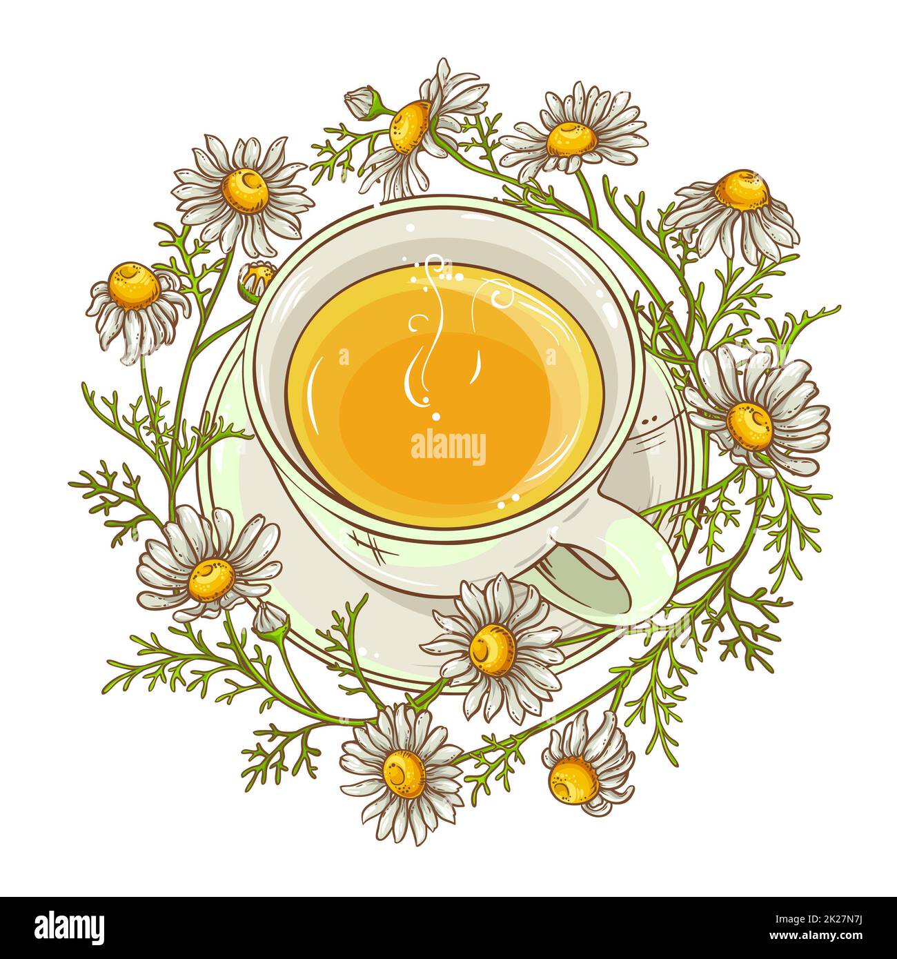 cup of chamomile tea Stock Photo - Alamy