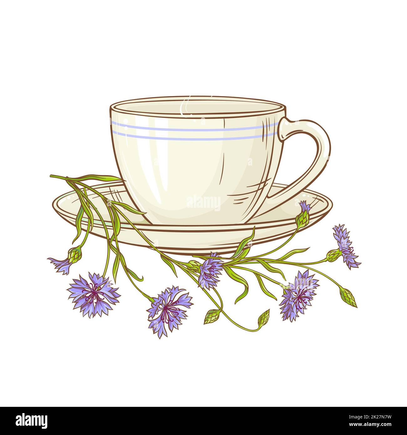 cornflower tea illustration Stock Photo Alamy