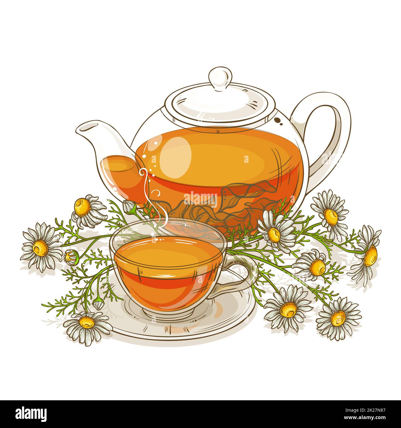 chamomile tea illustration Stock Photo Alamy