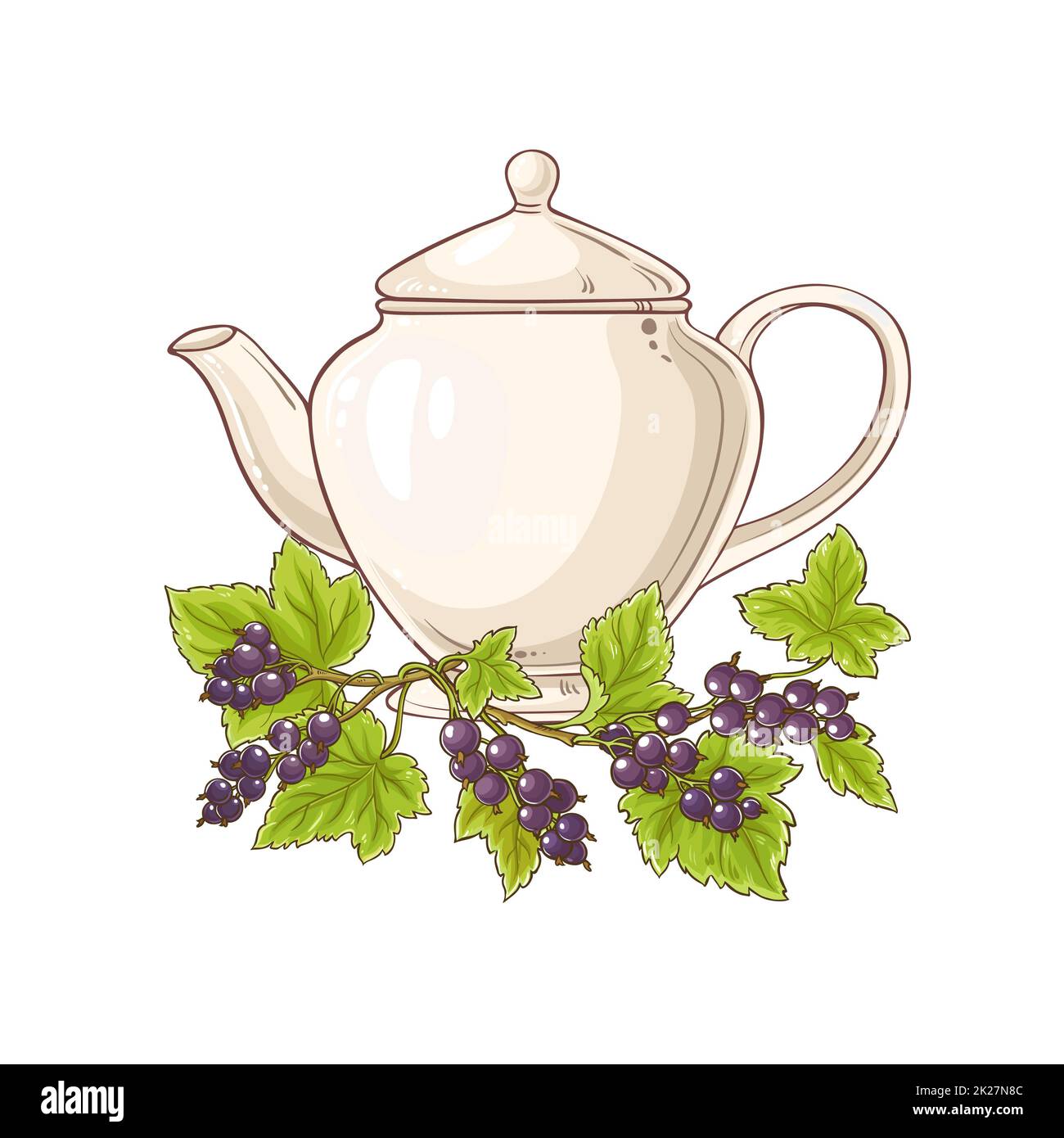 black currant tea illustration Stock Photo