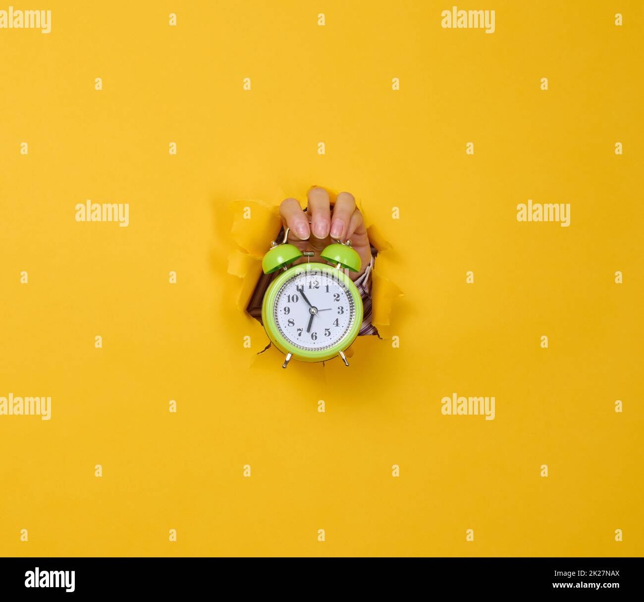 a woman's hand holds a round green alarm clock, the time is five minutes to seven in the morning. A part of the body is sticking out of a torn hole in a yellow paper background. Stock Photo