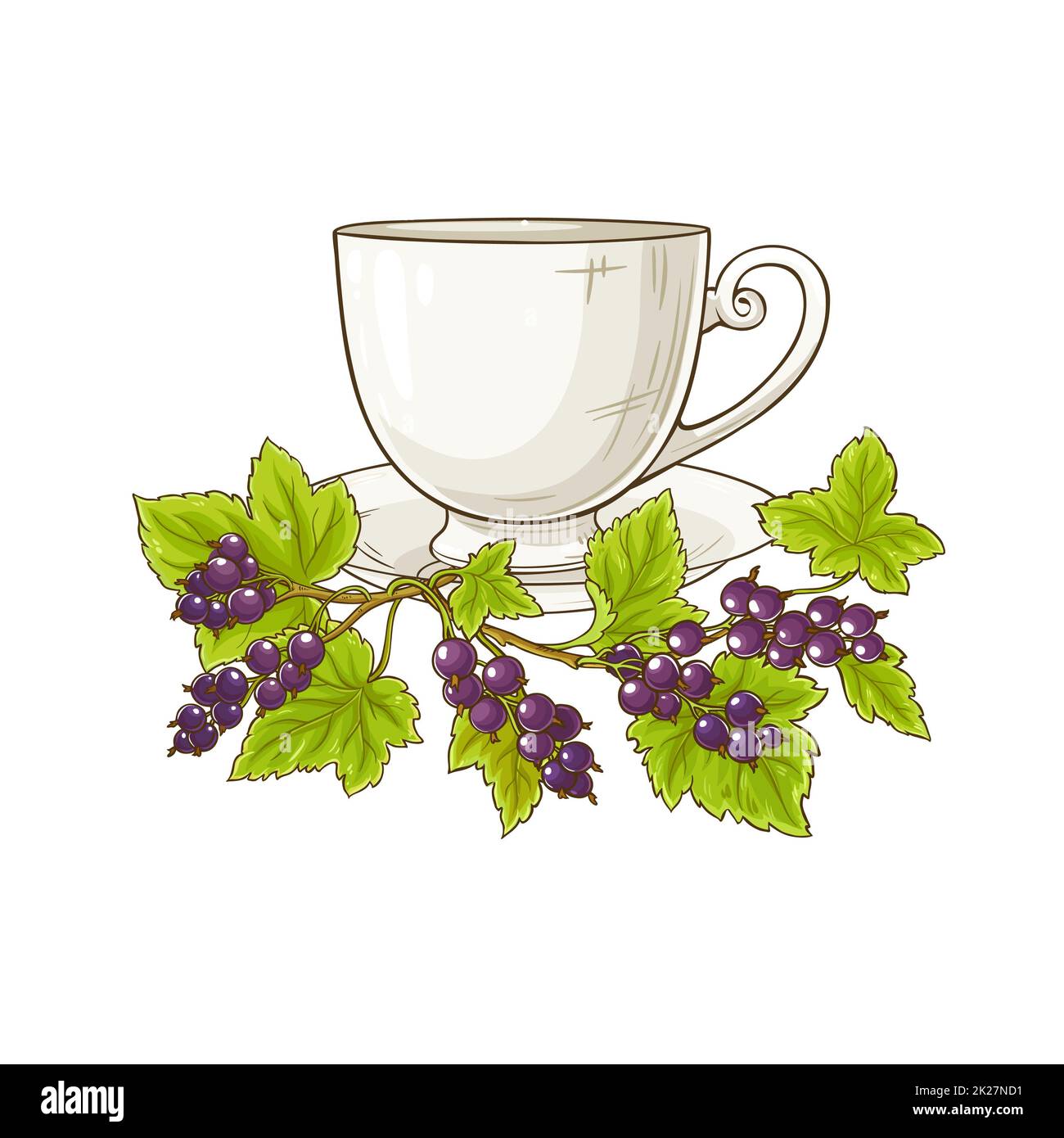 black currant tea illustration Stock Photo