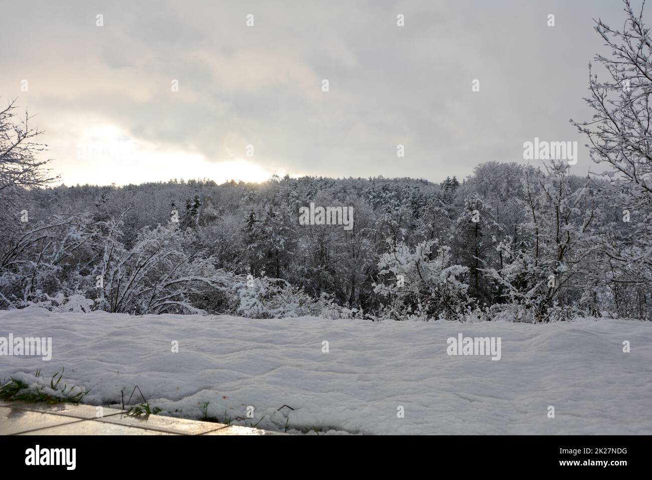 Sunrise over a forest with lots of snow and a terrace Stock Photo