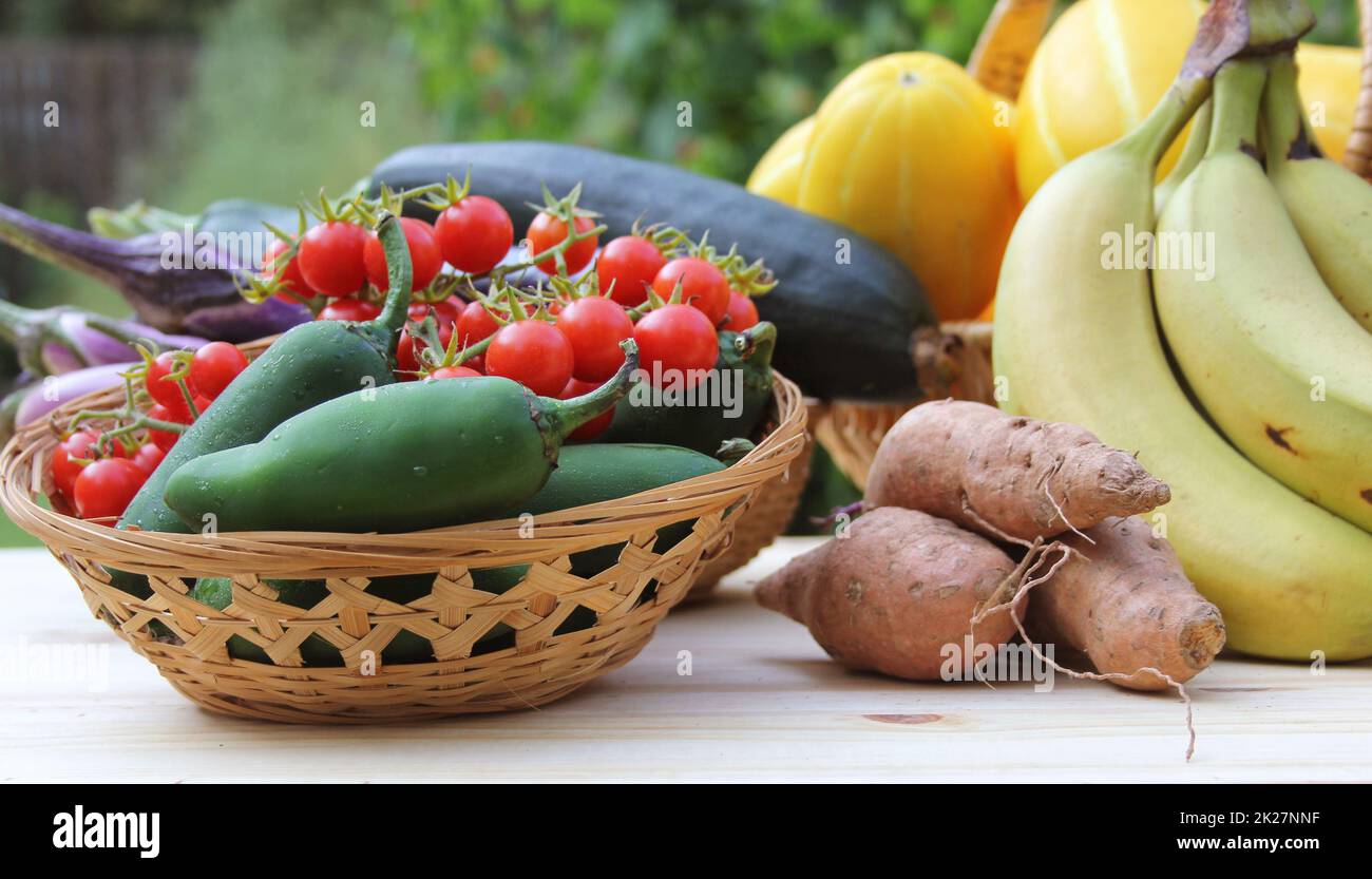 Summer Vegetable Harvest Ginkaku Korean Melons with Pineapple