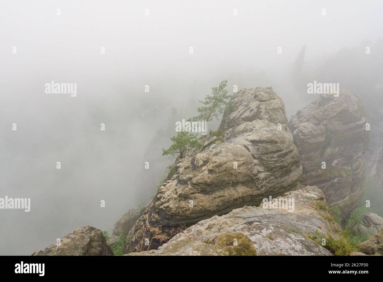 An early cloudy morning in mountain. Schrammsteine - group of rocks are a long, strung-out, very jagged in the Elbe Sandstone Mountains located in Saxon Switzerland in East Germany. Stock Photo