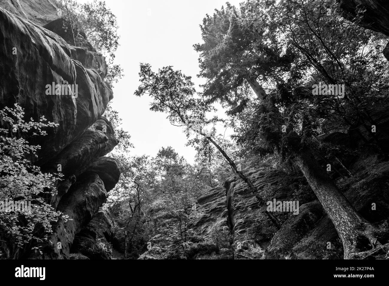 Foothills of the Elbe Sandstone Mountains. Saxony Switzerland. Germany. Black and white. Stock Photo