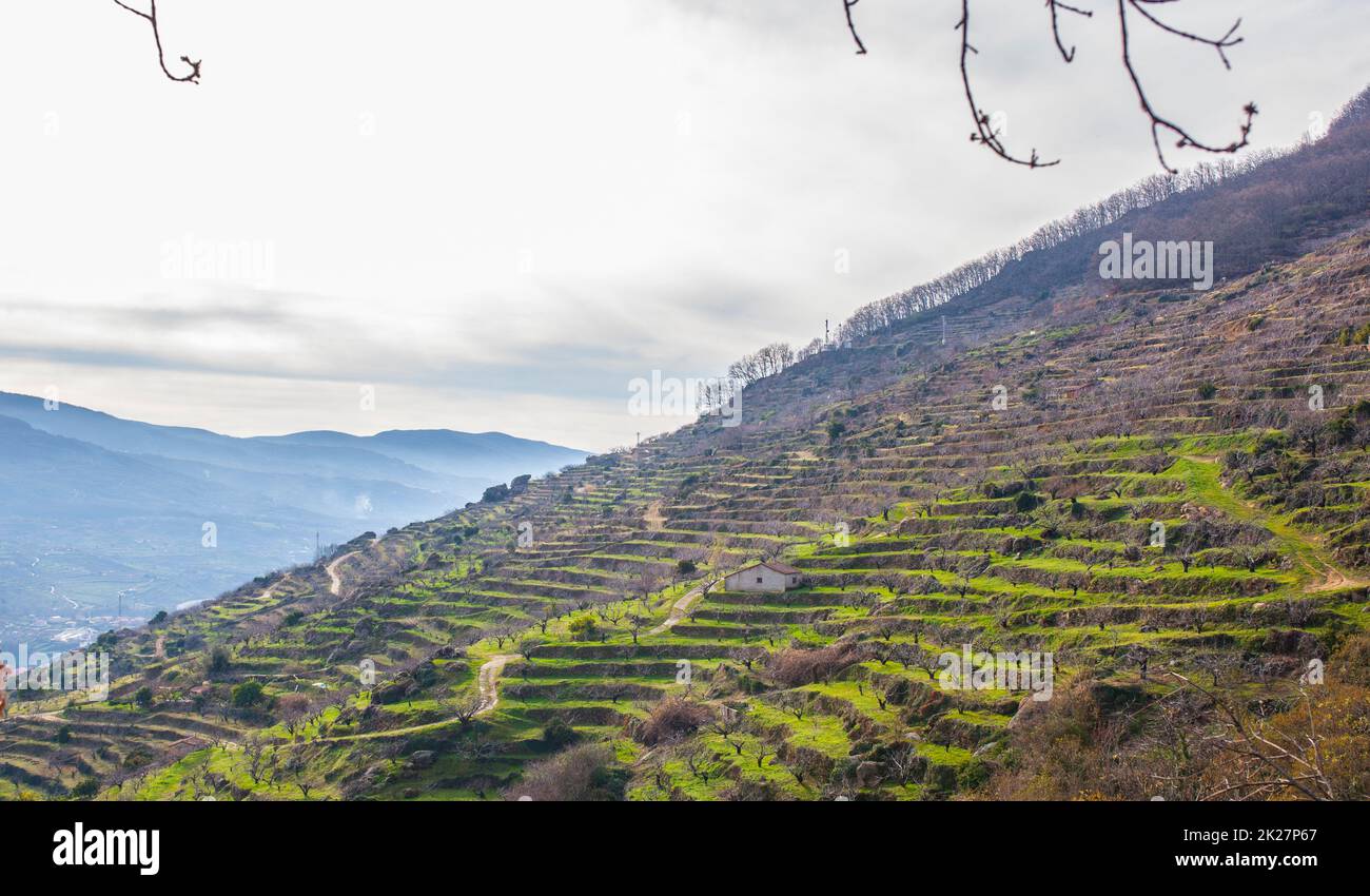 Jerte Valle Hi res Stock Photography And Images Alamy jerte-valle-hi-res-stock-photography-and-images-alamy