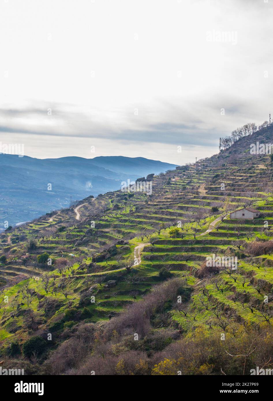 Jerte Valle Hi res Stock Photography And Images Alamy jerte-valle-hi-res-stock-photography-and-images-alamy