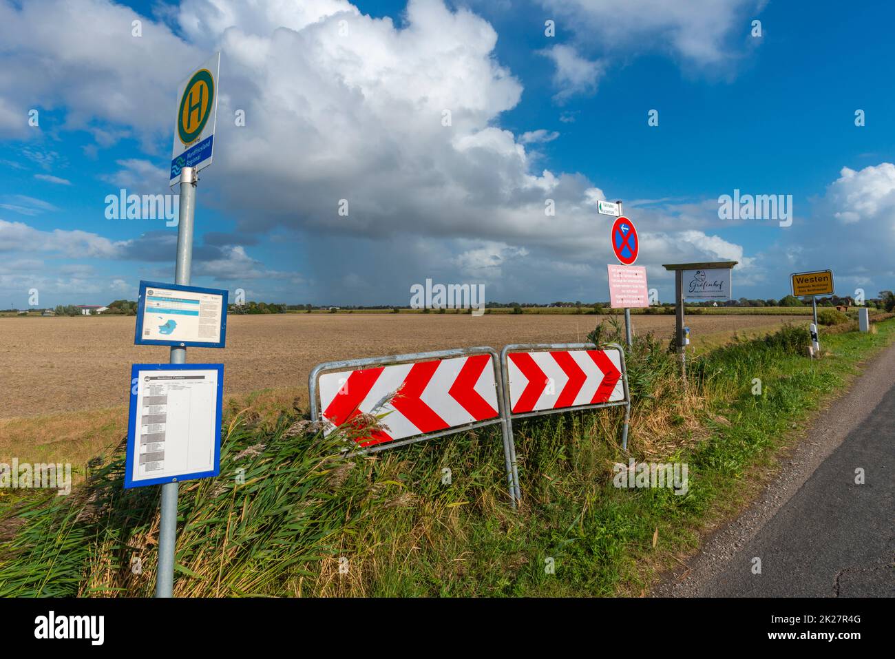 Countryside with farming at Fuhlehoern on the peninsula Nordstrand, North Sea, North Frisia, Schleswig-Holstein, Northern Germany, Europe Stock Photo