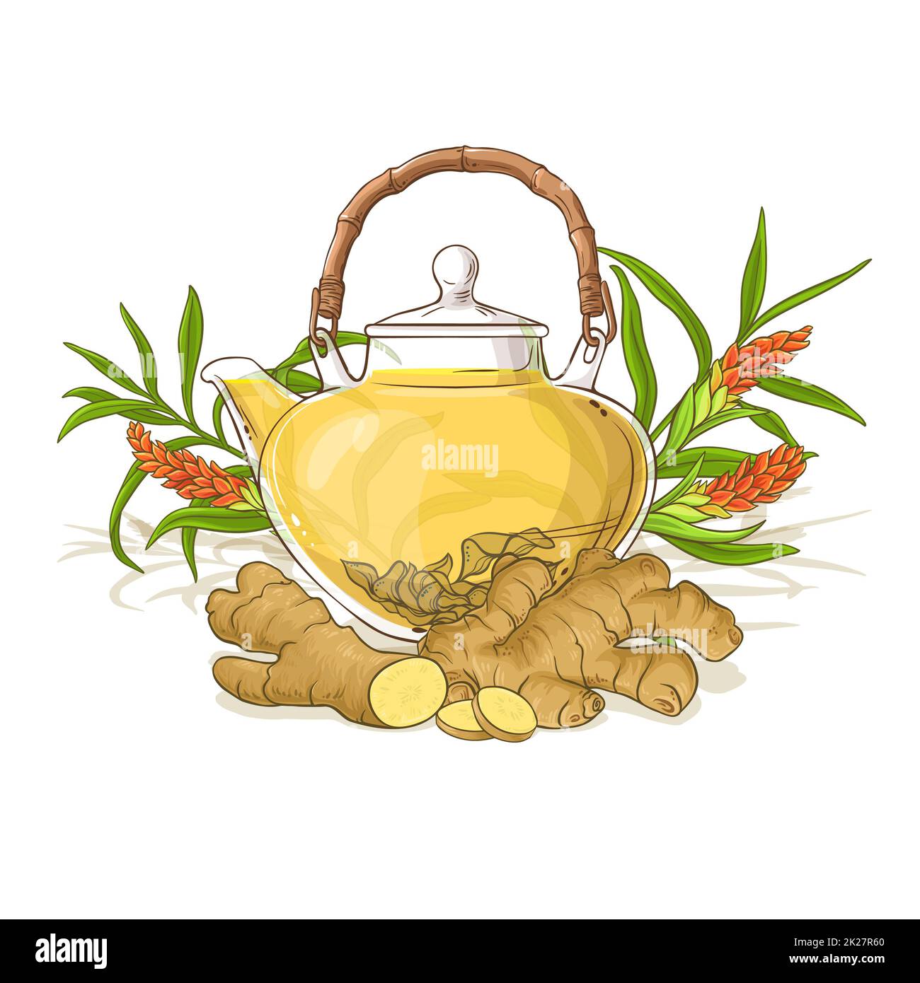 ginger tea illustration Stock Photo