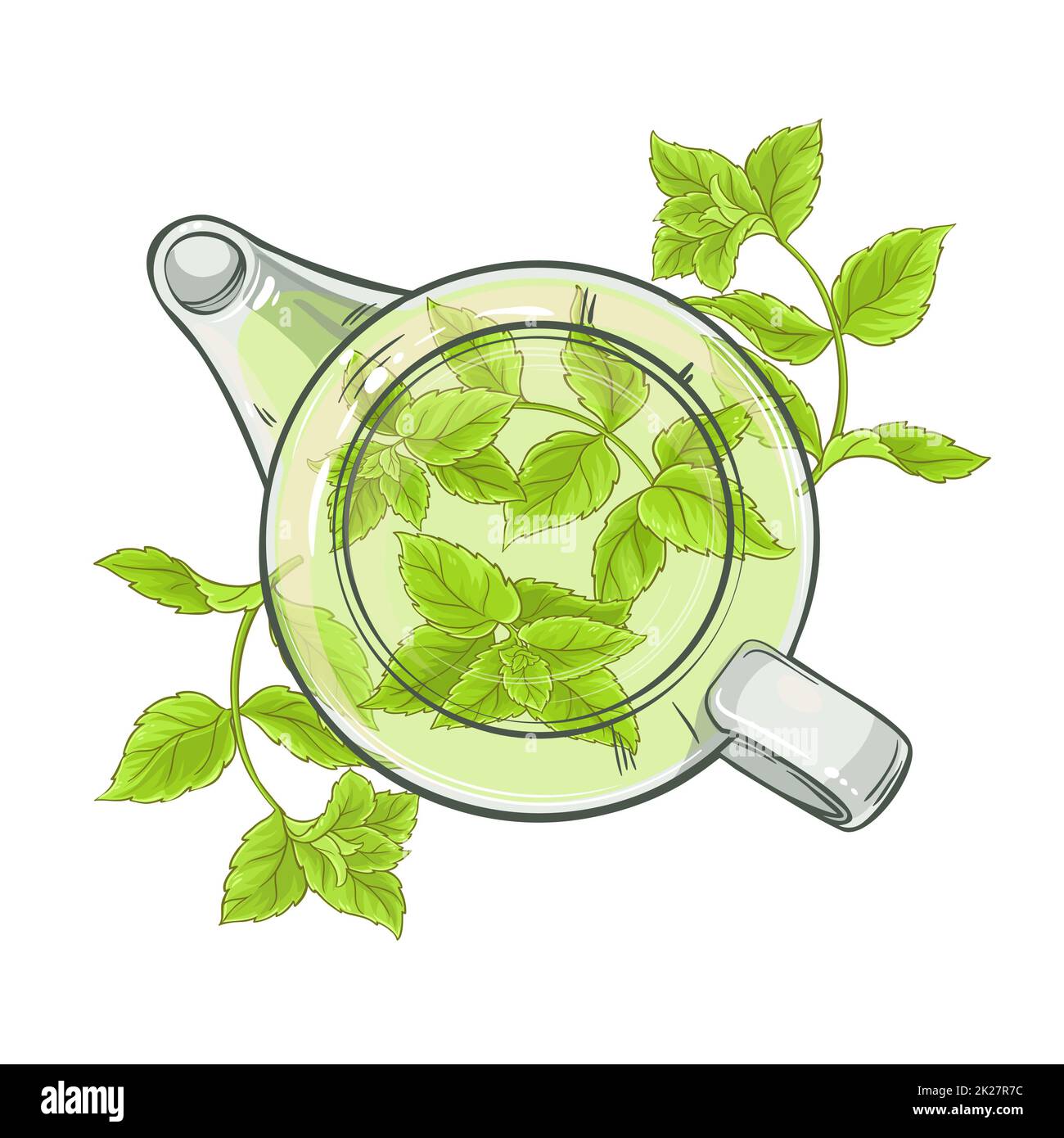 peppermint tea vector Stock Photo - Alamy