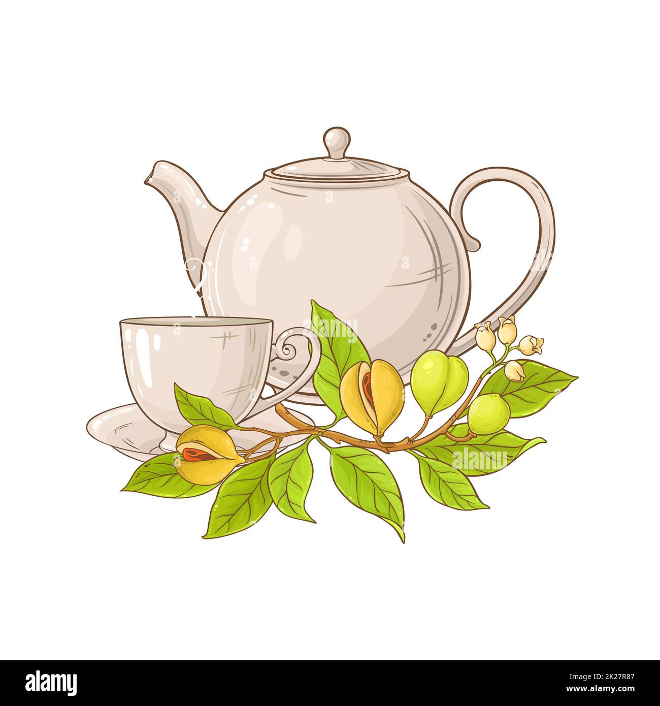 nutmeg tea illustration Stock Photo Alamy