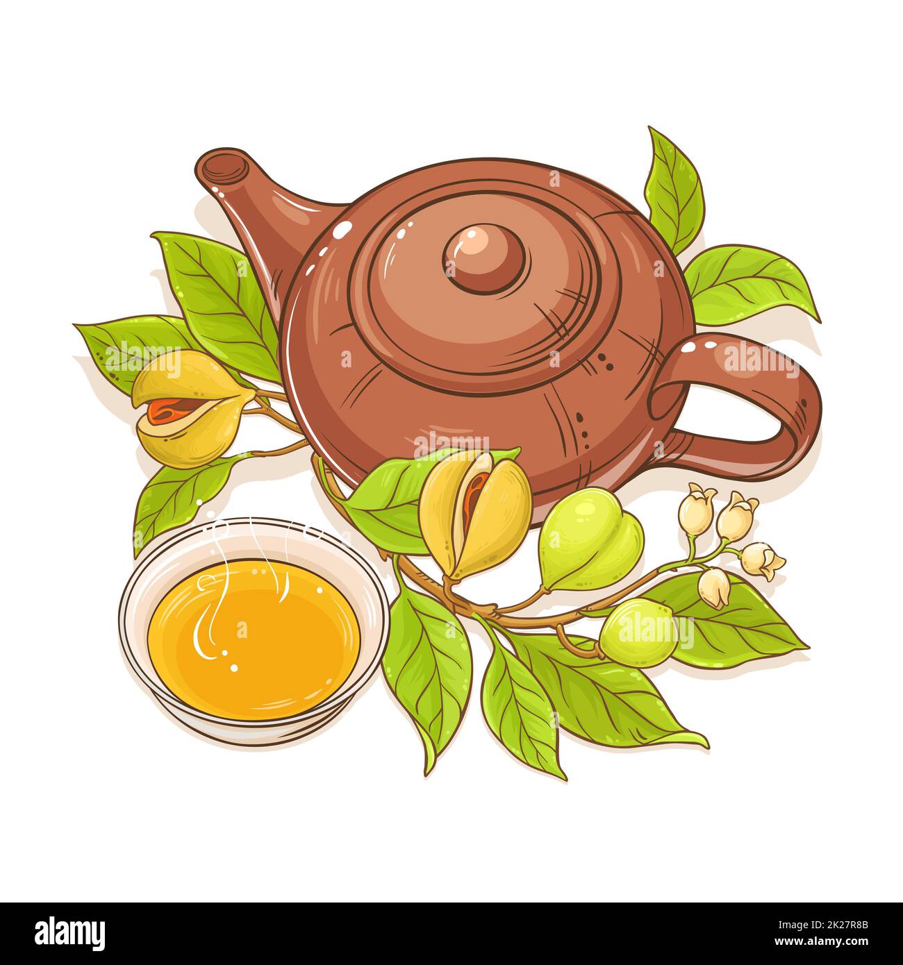 nutmeg tea illustration Stock Photo Alamy