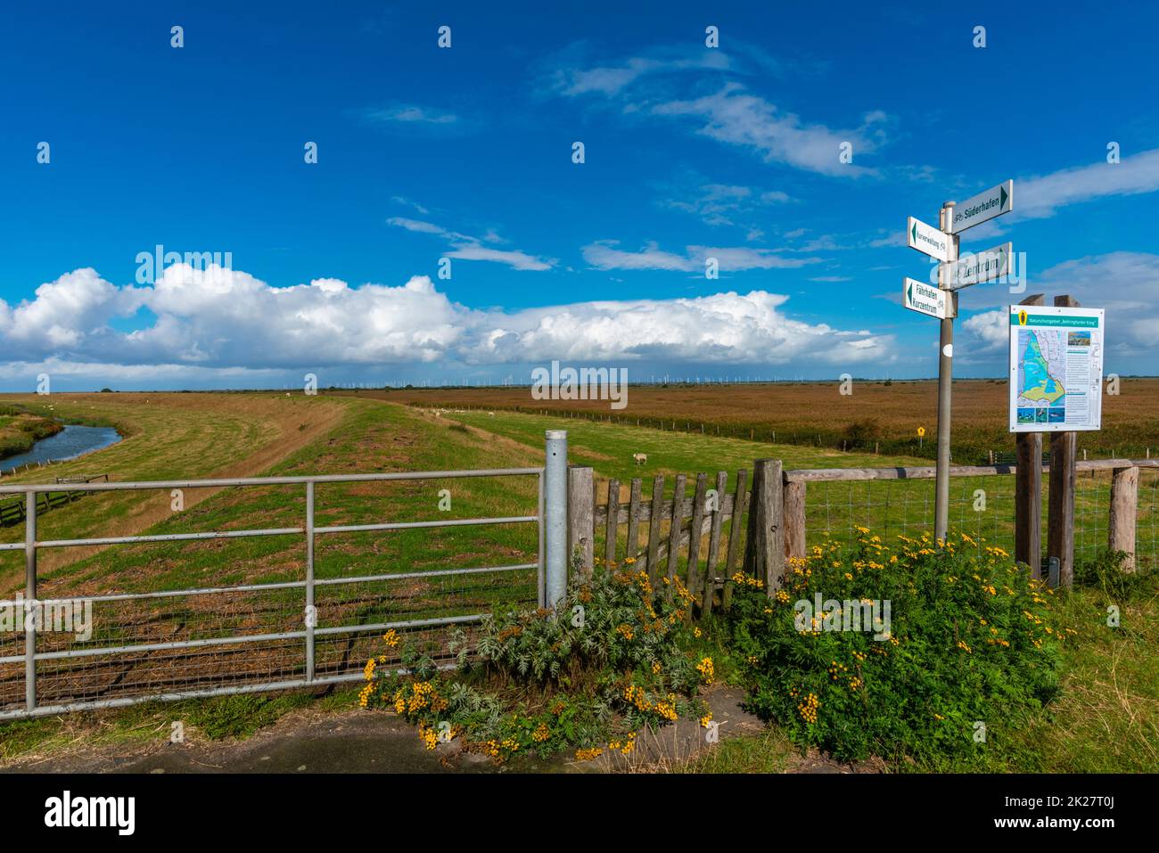 Countryside with farming on the peninsula Nordstrand,North Sea, North Frisia, Schleswig-Holstein, Northern Germany, Stock Photo