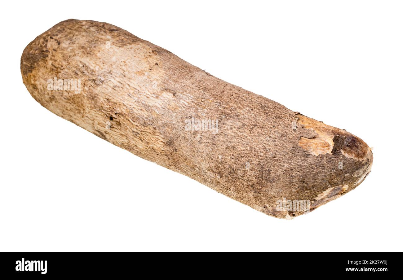 whole tuber of african yam isolated on white Stock Photo Alamy