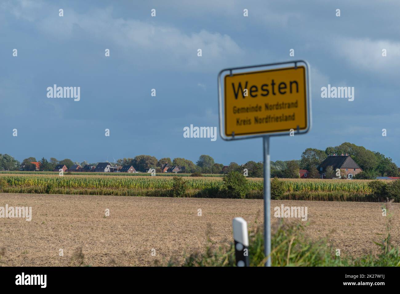 Countryside with farming on the peninsula Nordstrand,North Sea, North Frisia, Schleswig-Holstein, Northern Germany, Stock Photo