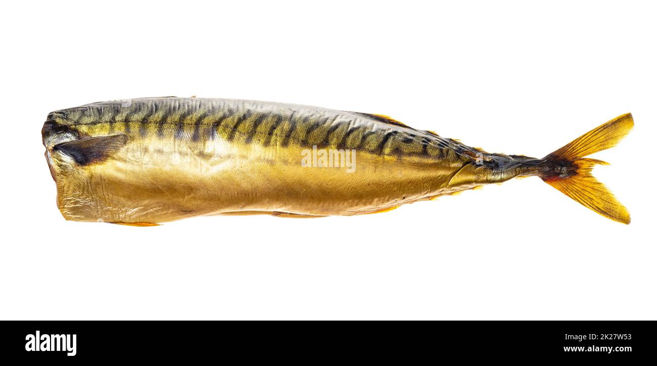 cold-smoked headless mackerel isolated on white Stock Photo