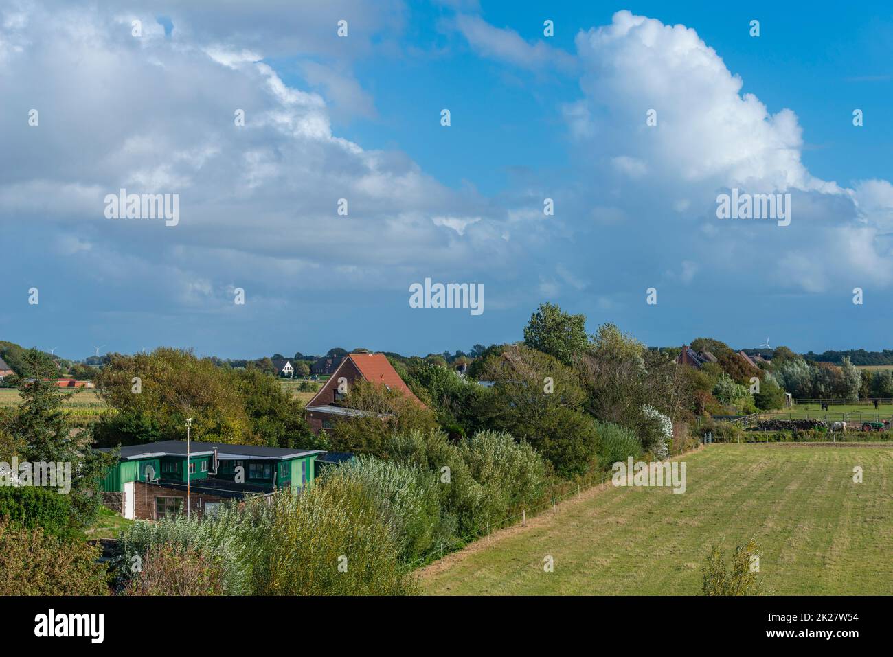 Houses on an inland dyke, peninsula Nordstrand,North Sea, North Frisia, Schleswig-Holstein, Northern Germany, Stock Photo