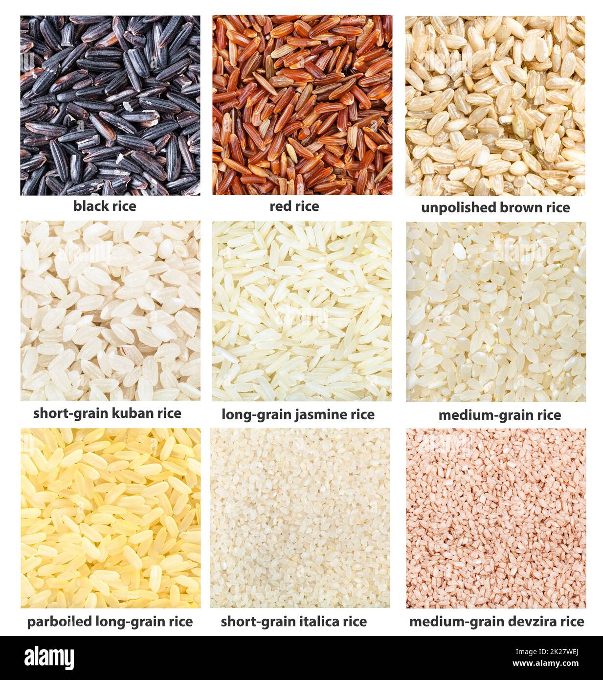 background various rice grains with names Stock Photo Alamy