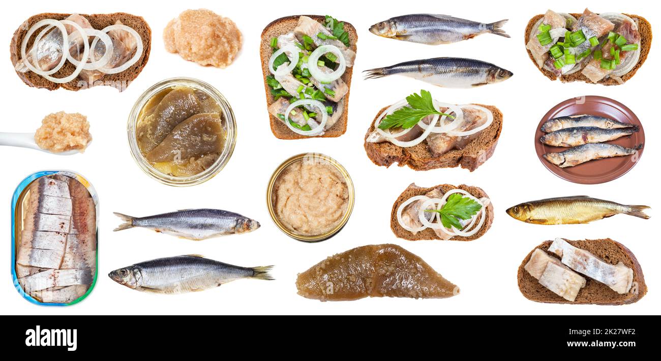 set of various cooked and raw herring fish and roe Stock Photo Alamy