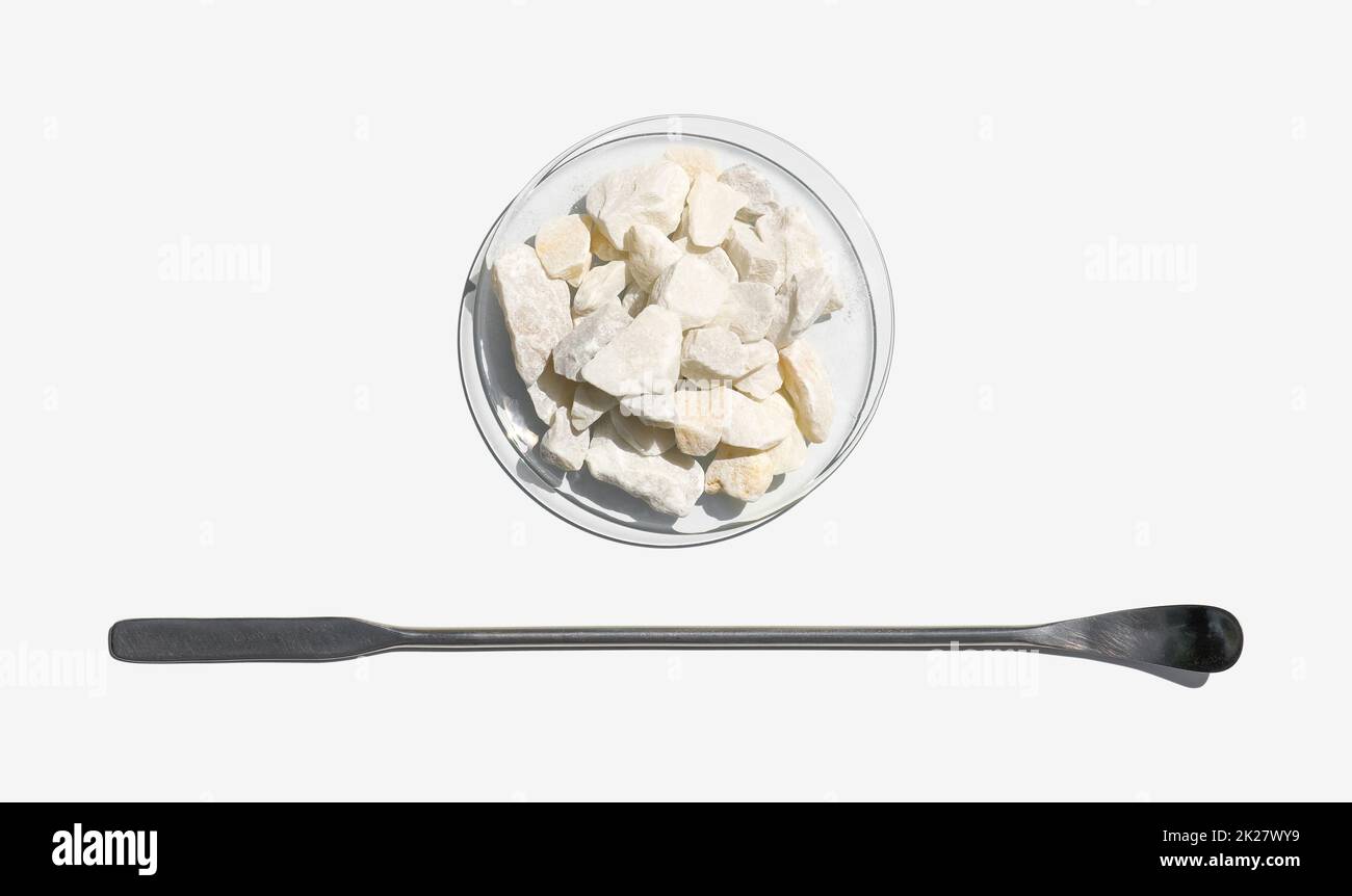 Closeup chemical ingredient on white laboratory table. Calcium carbonate Chip in Chemical Watch Glass placed next to the stainless spatula. Top View Stock Photo