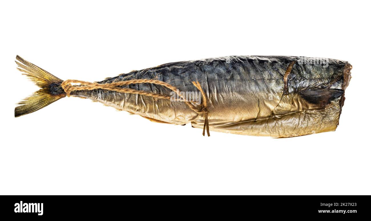 hot-smoked headless mackerel with rope isolated Stock Photo
