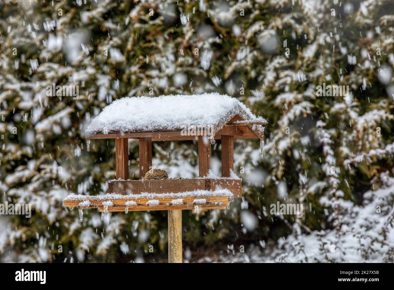 bird feeder in frozen snowy winter garden Stock Photo Alamy