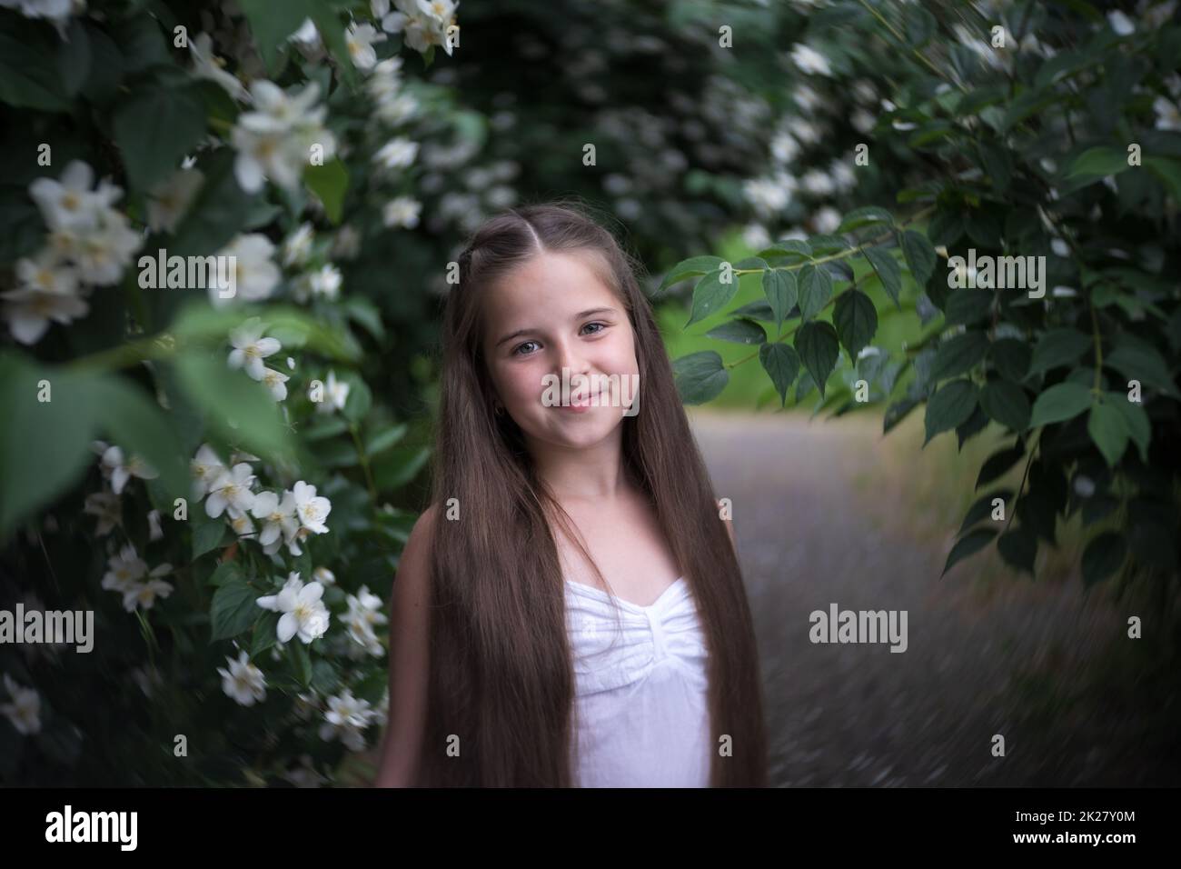A beautiful girl with long hair stands in the flowering bushes of Philadelphus coronarius. Stock Photo